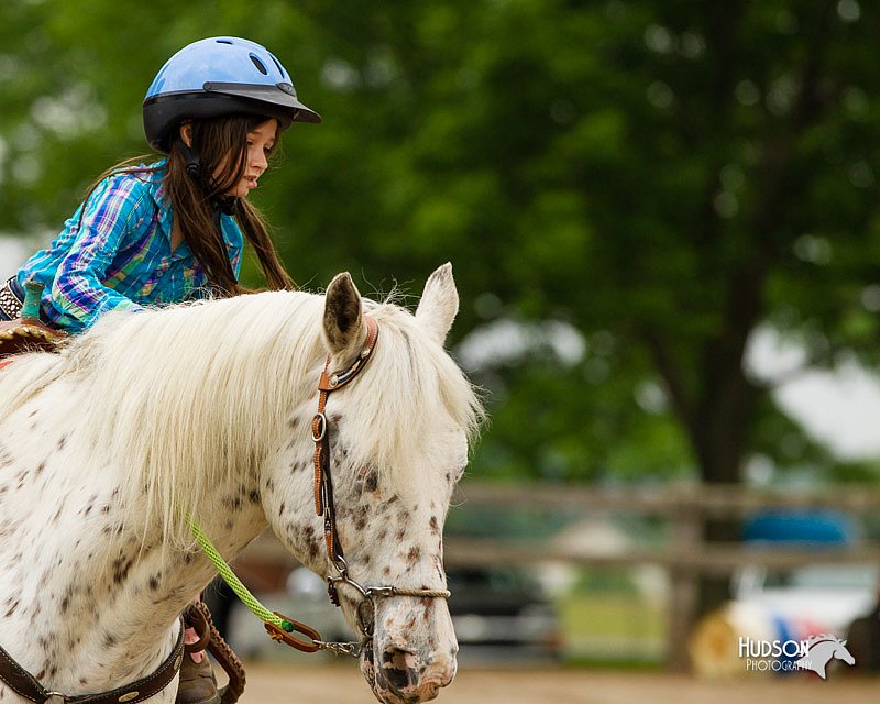 4H-FUN-060813-0263.jpg