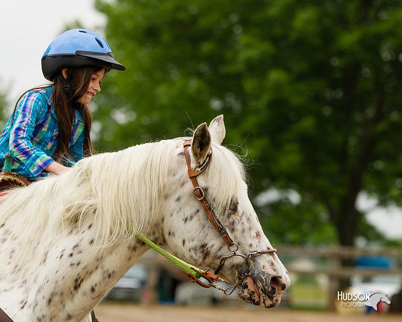 4H-FUN-060813-0264.jpg