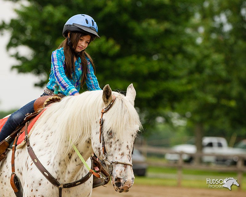 4H-FUN-060813-0269.jpg