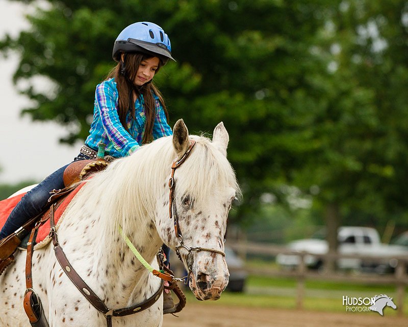 4H-FUN-060813-0270.jpg