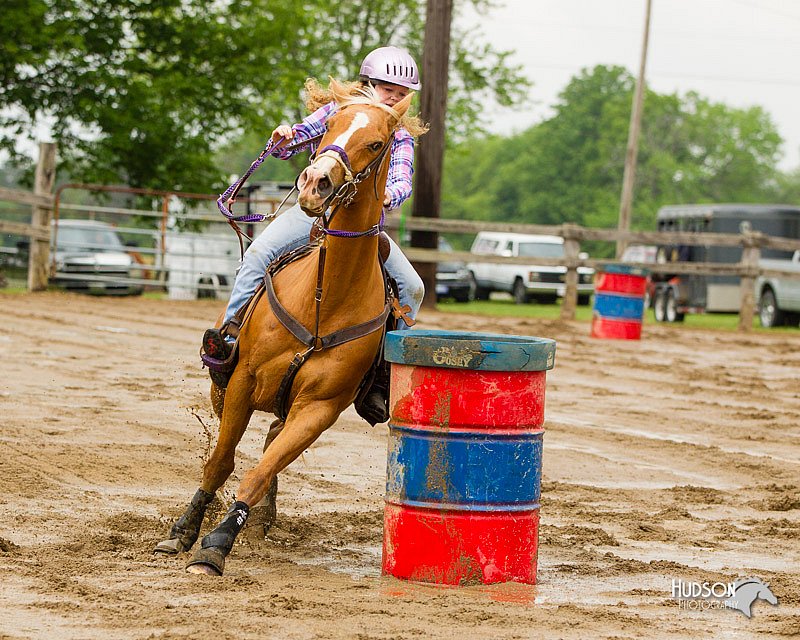 4H-FUN-060813-0279.jpg