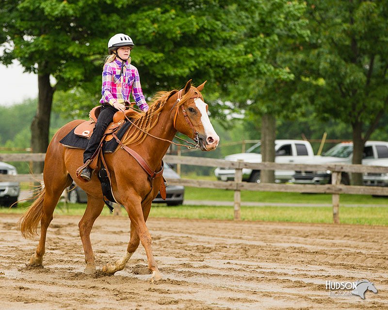4H-FUN-060813-0289.jpg