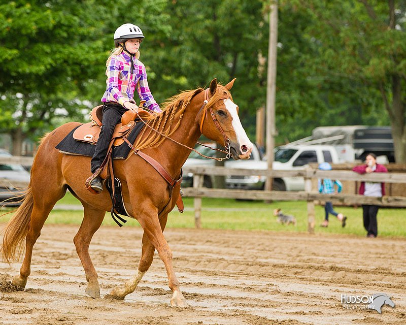 4H-FUN-060813-0290.jpg