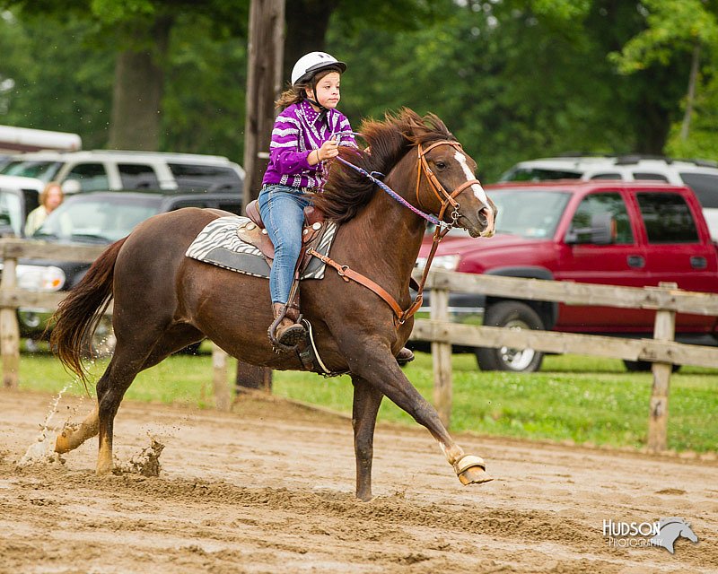 4H-FUN-060813-0294.jpg