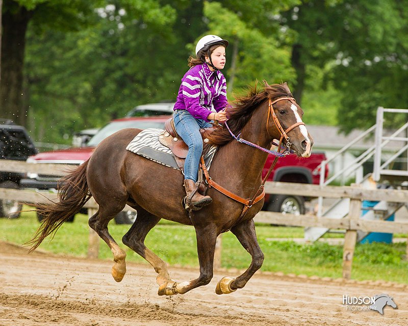 4H-FUN-060813-0295.jpg