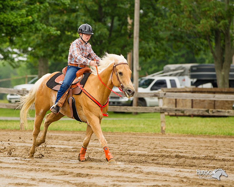 4H-FUN-060813-0298.jpg