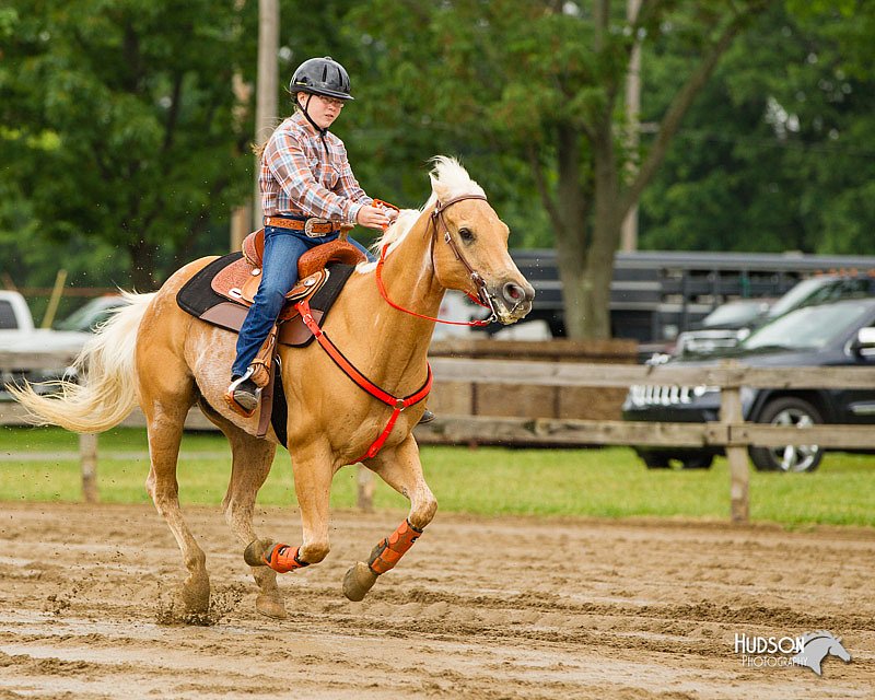 4H-FUN-060813-0299.jpg