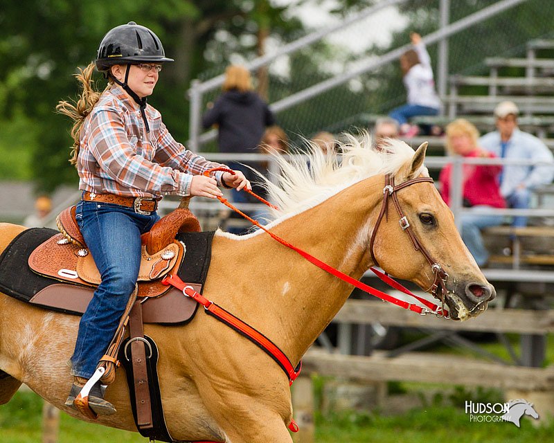 4H-FUN-060813-0301.jpg