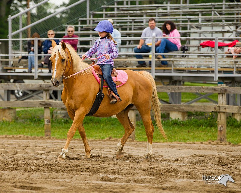 4H-FUN-060813-0325.jpg
