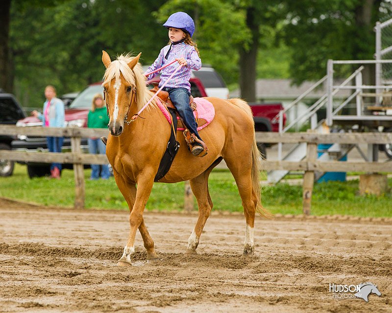 4H-FUN-060813-0326.jpg