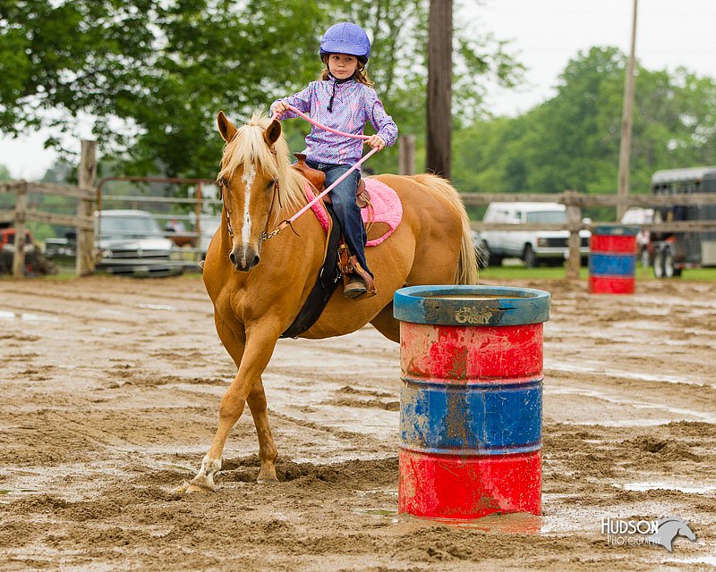 4H-FUN-060813-0328.jpg