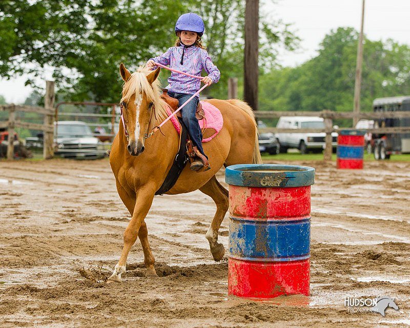 4H-FUN-060813-0329.jpg