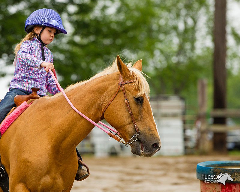 4H-FUN-060813-0332.jpg