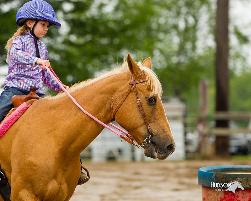 4H-FUN-060813-0333.jpg