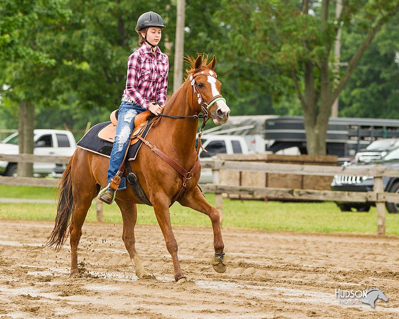 4H-FUN-060813-0341.jpg