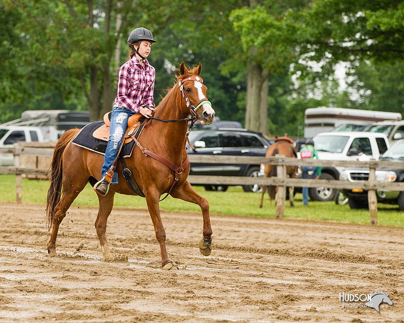 4H-FUN-060813-0342.jpg