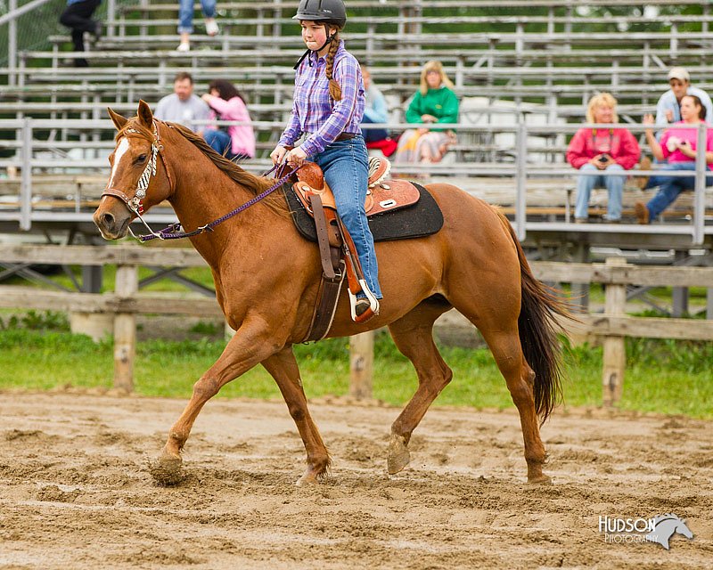 4H-FUN-060813-0352.jpg