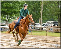 4H-FUN-060813-0178.jpg