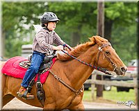 4H-FUN-060813-0188.jpg