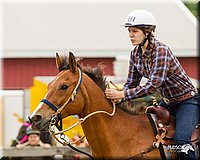 4H-FUN-060813-0193.jpg