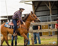 4H-FUN-060813-0210.jpg