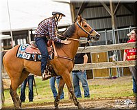 4H-FUN-060813-0211.jpg