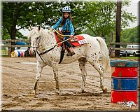 4H-FUN-060813-0257.jpg
