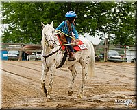 4H-FUN-060813-0258.jpg