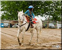 4H-FUN-060813-0259.jpg