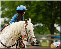 4H-FUN-060813-0261.jpg