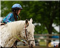 4H-FUN-060813-0262.jpg
