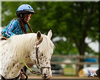 4H-FUN-060813-0263.jpg