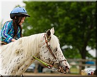 4H-FUN-060813-0264.jpg