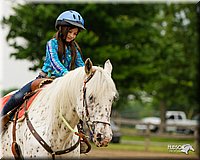 4H-FUN-060813-0270.jpg