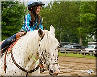 4H-FUN-060813-0274.jpg