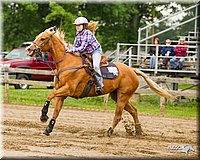 4H-FUN-060813-0277.jpg