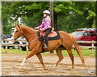 4H-FUN-060813-0285.jpg