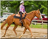 4H-FUN-060813-0291.jpg