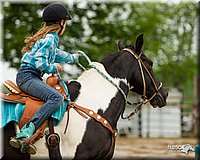 4H-FUN-060813-0313.jpg