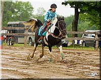 4H-FUN-060813-0314.jpg