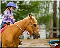 4H-FUN-060813-0332.jpg