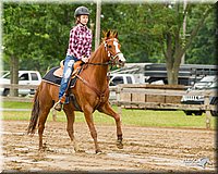 4H-FUN-060813-0341.jpg