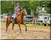 4H-FUN-060813-0342.jpg