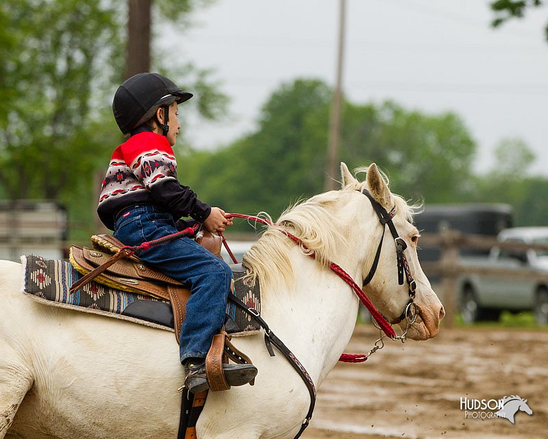 4H-FUN-060813-0387.jpg