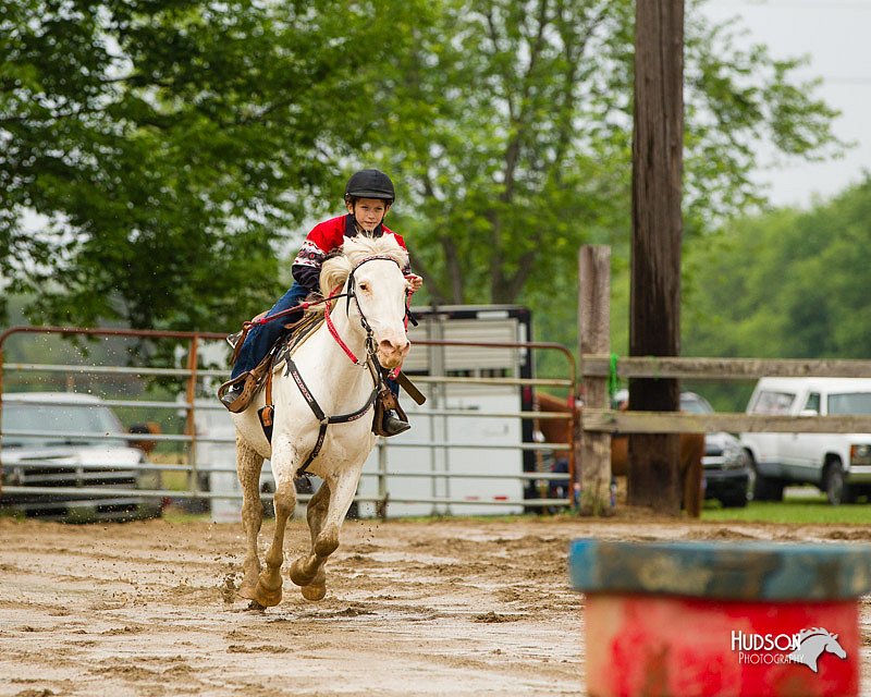 4H-FUN-060813-0388.jpg
