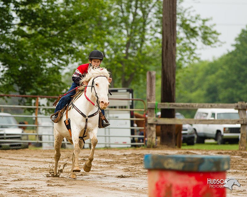 4H-FUN-060813-0389.jpg