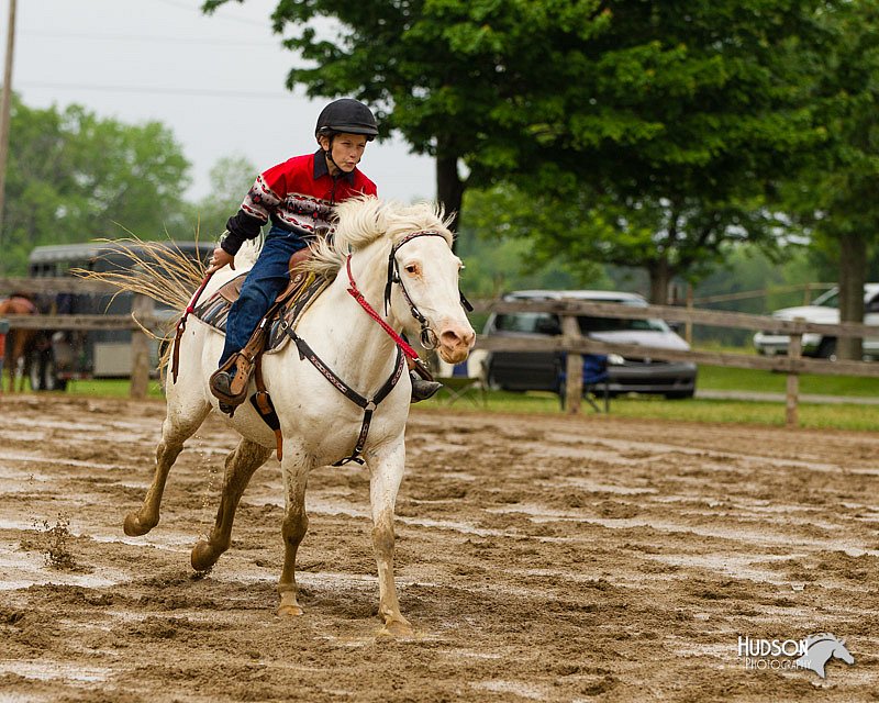 4H-FUN-060813-0390.jpg