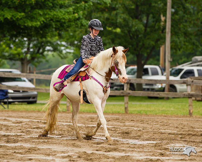 4H-FUN-060813-0417.jpg