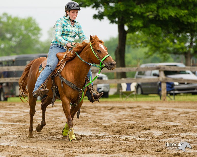 4H-FUN-060813-0431.jpg