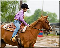 4H-FUN-060813-0362.jpg